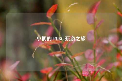小桐的 PUBG 玩游之旅