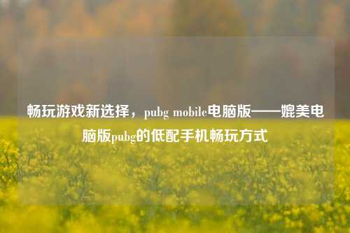 畅玩游戏新选择，pubg mobile电脑版——媲美电脑版pubg的低配手机畅玩方式