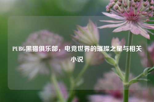 PUBG黑猫俱乐部,电竞世界的璀璨之星与相关小说