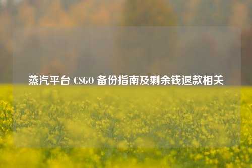 蒸汽平台 CSGO 备份指南及剩余钱退款相关