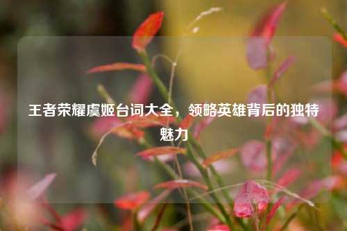 王者荣耀虞姬台词大全,领略英雄背后的独特魅力