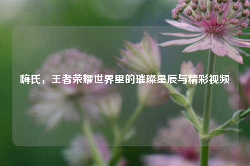 嗨氏，王者荣耀世界里的璀璨星辰与精彩视频