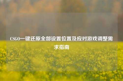 CSGO一键还原全部设置位置及应对游戏调整需求指南