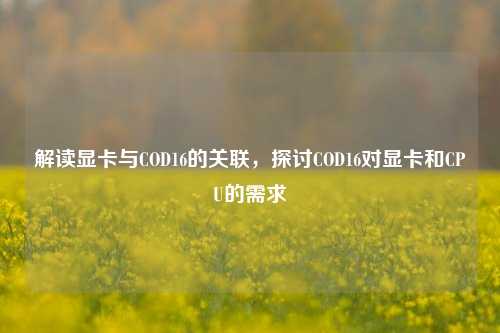 解读显卡与COD16的关联，探讨COD16对显卡和CPU的需求
