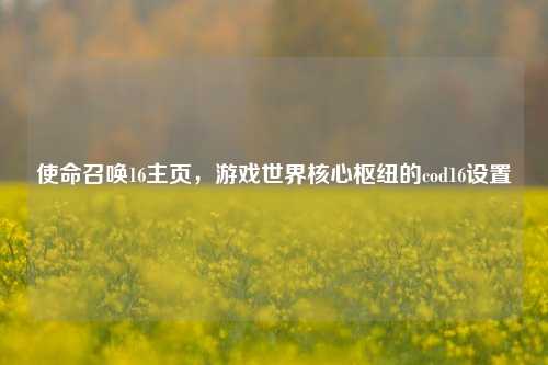 使命召唤16主页，游戏世界核心枢纽的cod16设置