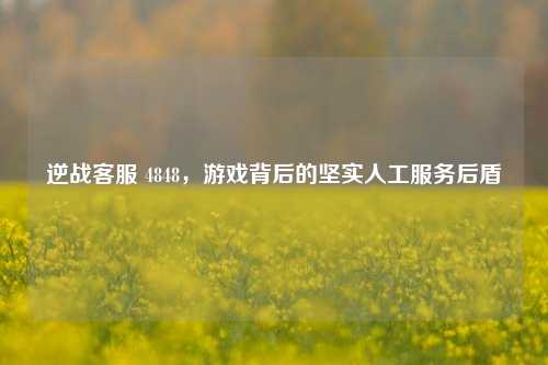 逆战客服 4848，游戏背后的坚实人工服务后盾