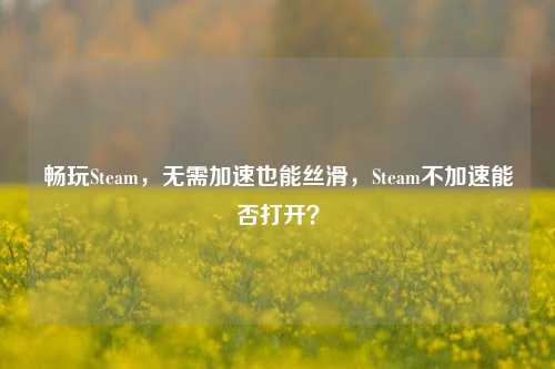畅玩Steam，无需加速也能丝滑，Steam不加速能否打开？