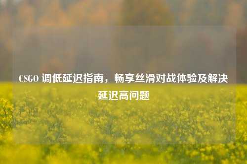 CSGO 调低延迟指南，畅享丝滑对战体验及解决延迟高问题