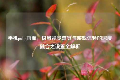 手机pubg画面，极致视觉盛宴与游戏体验的深度融合之设置全解析