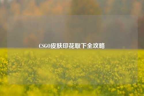 CSGO皮肤印花取下全攻略