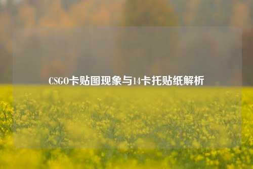 CSGO卡贴图现象与14卡托贴纸解析