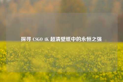 探寻 CSGO 4K 超清壁纸中的永恒之强