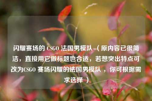 闪耀赛场的 CSGO 法国男模队 （原内容已很简洁，直接用它做标题也合适，若想突出特点可改为CSGO 赛场闪耀的法国男模队 ，你可根据需求选择 ）