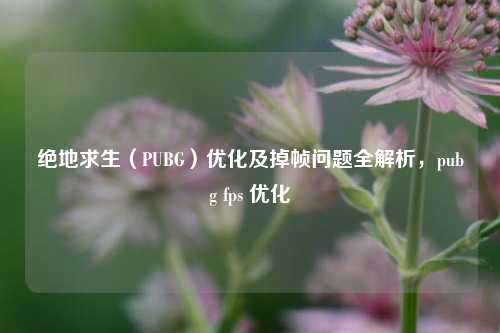 绝地求生（PUBG）优化及掉帧问题全解析，pubg fps 优化