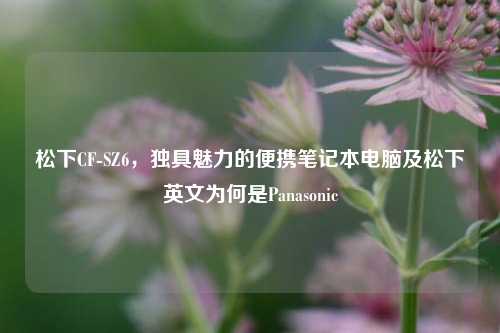 松下CF-SZ6，独具魅力的便携笔记本电脑及松下英文为何是Panasonic
