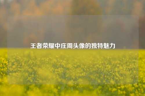 王者荣耀中庄周头像的独特魅力