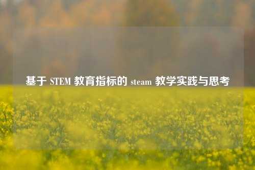 基于 STEM 教育指标的 steam 教学实践与思考
