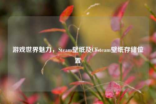 游戏世界魅力，Steam壁纸及CFsteam壁纸存储位置