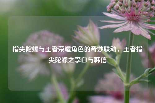 指尖陀螺与王者荣耀角色的奇妙联动,王者指尖陀螺之李白与韩信