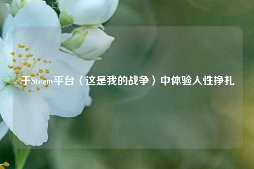 于Steam平台〈这是我的战争〉中体验人性挣扎