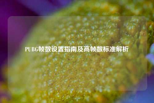 PUBG帧数设置指南及高帧数标准解析