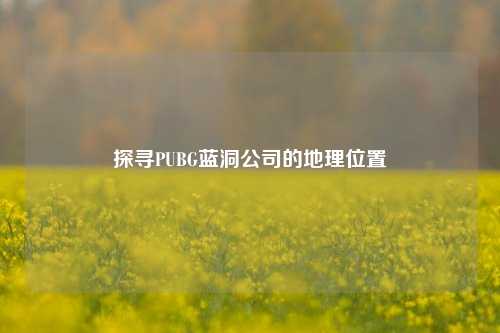 探寻PUBG蓝洞公司的地理位置