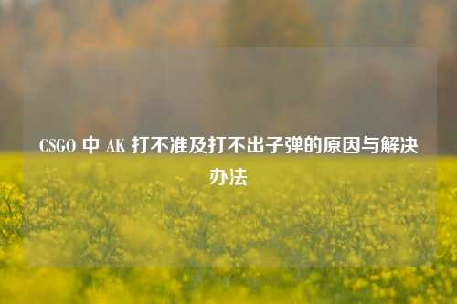 CSGO 中 AK 打不准及打不出子弹的原因与解决办法