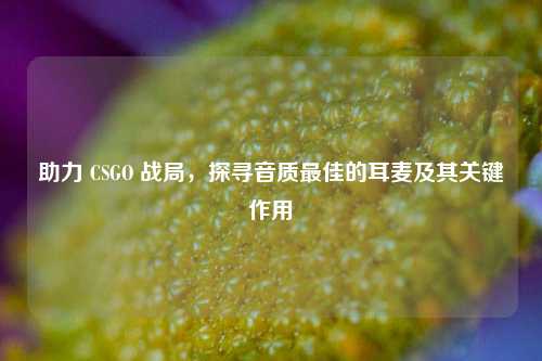 助力 CSGO 战局，探寻音质最佳的耳麦及其关键作用