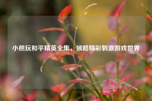 小熊玩和平精英全集，领略精彩刺激游戏世界