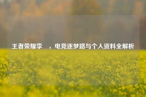 王者荣耀李旻，电竞逐梦路与个人资料全解析