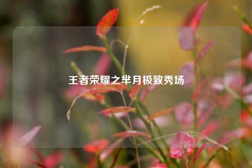 王者荣耀之芈月极致秀场
