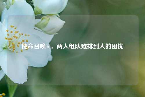 使命召唤16，两人组队难排到人的困扰