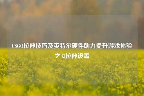 CSGO拉伸技巧及英特尔硬件助力提升游戏体验之43拉伸设置