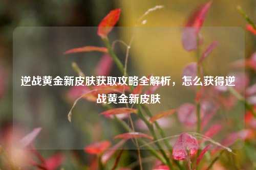 逆战黄金新皮肤获取攻略全解析，怎么获得逆战黄金新皮肤