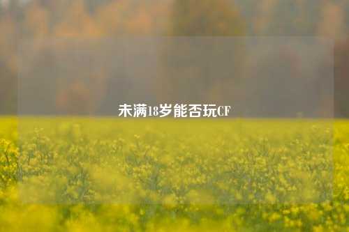 未满18岁能否玩CF