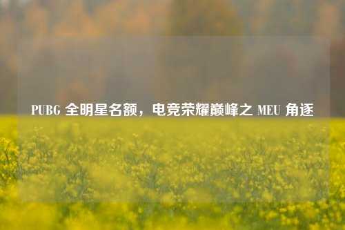 PUBG 全明星名额,电竞荣耀巅峰之 MEU 角逐