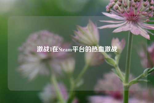 激战1在Steam平台的热血激战