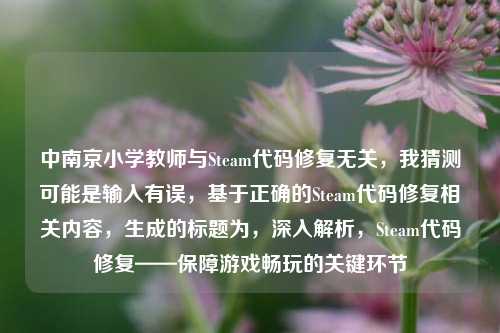 中南京小学教师与Steam代码修复无关，我猜测可能是输入有误，基于正确的Steam代码修复相关内容，生成的标题为，深入解析，Steam代码修复——保障游戏畅玩的关键环节