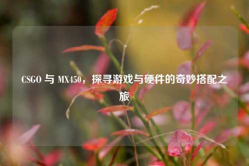 CSGO 与 MX450,探寻游戏与硬件的奇妙搭配之旅