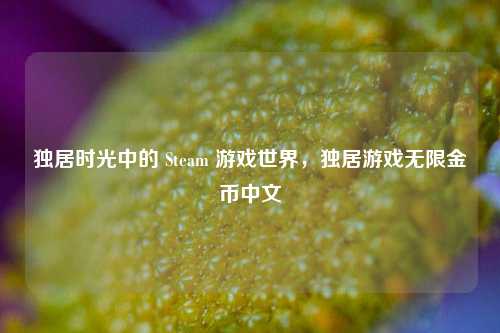 独居时光中的 Steam 游戏世界,独居游戏无限金币中文