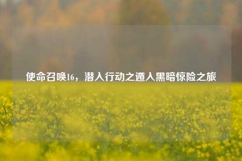 使命召唤16，潜入行动之遁入黑暗惊险之旅
