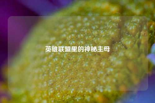 英雄联盟里的神秘主母