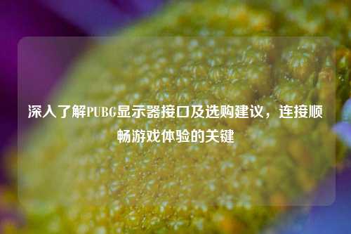 深入了解PUBG显示器接口及选购建议,连接顺畅游戏体验的关键