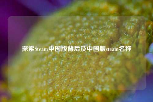 探索Steam中国版背后及中国版steam名称