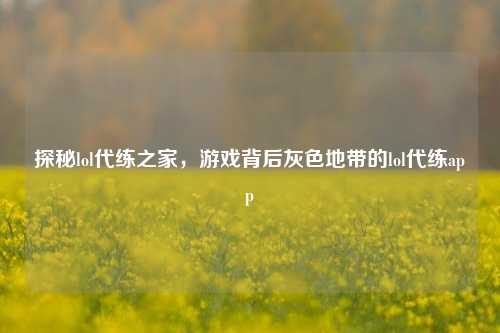 探秘lol代练之家,游戏背后灰色地带的lol代练app