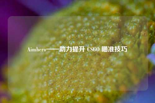 Aimhero——助力提升 CSGO 瞄准技巧