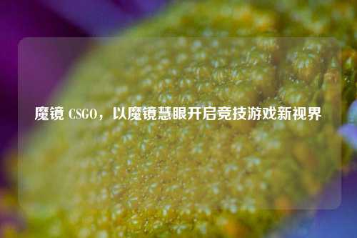 魔镜 CSGO，以魔镜慧眼开启竞技游戏新视界
