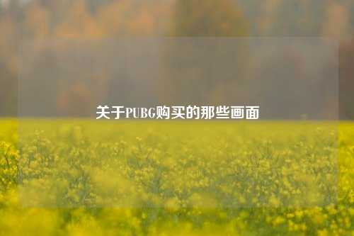 关于PUBG购买的那些画面