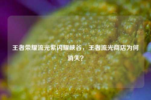 王者荣耀流光紫闪耀峡谷,王者流光商店为何消失?