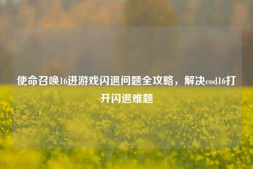 使命召唤16进游戏闪退问题全攻略，解决cod16打开闪退难题